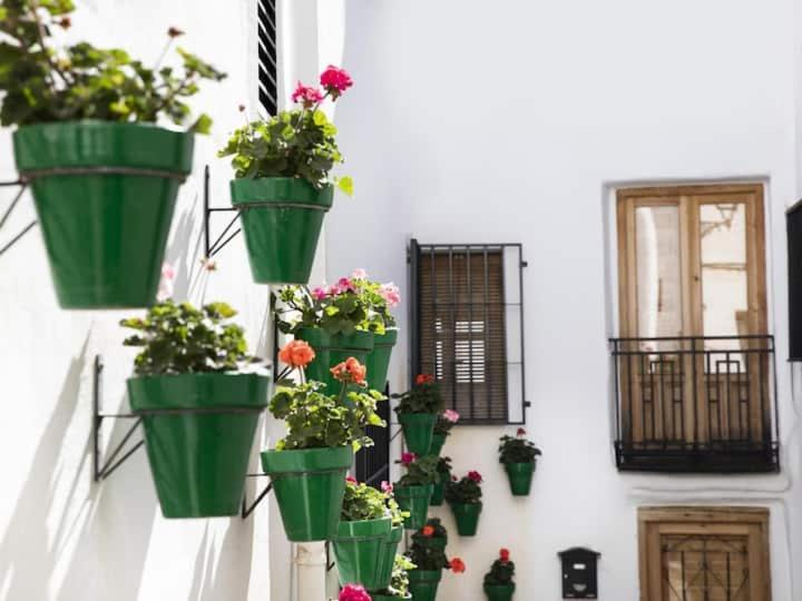 Apartamento En El Corazon De Las Alpujarras Carataunas ภายนอก รูปภาพ